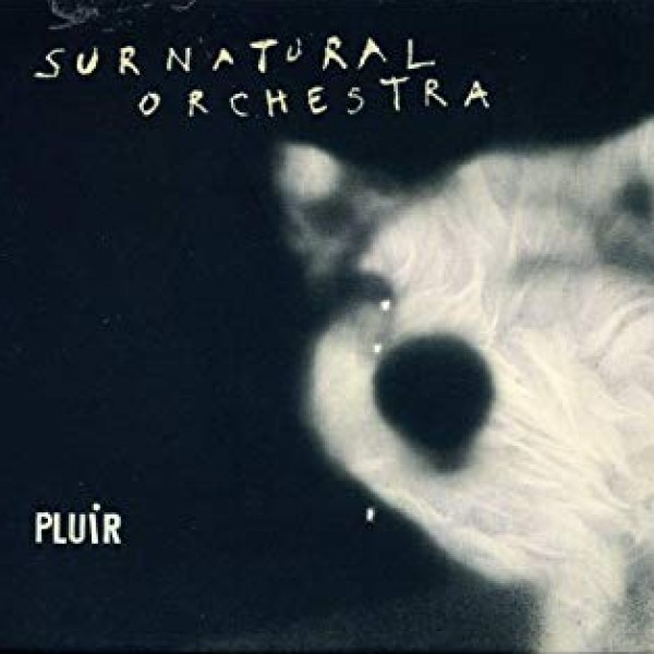 Pluir