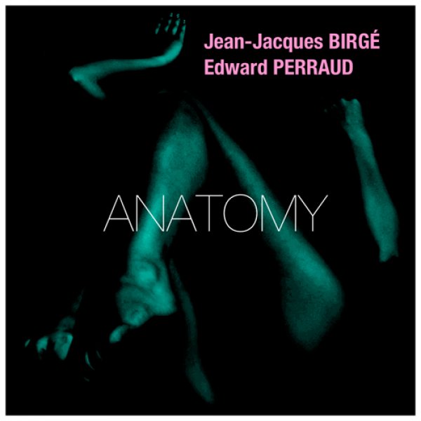 Anatomy