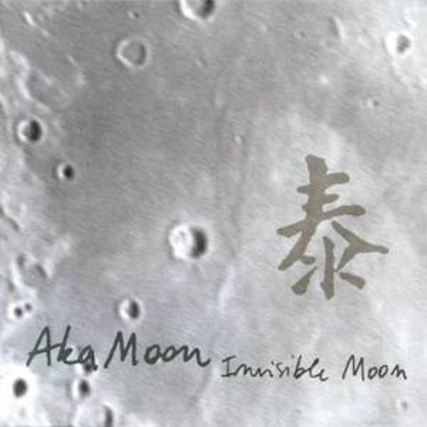Invisible Moon
