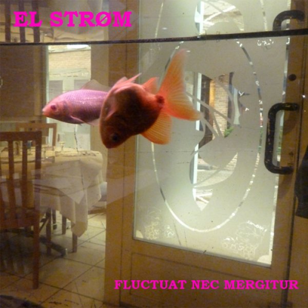Fluctuat Nec Mergitur
