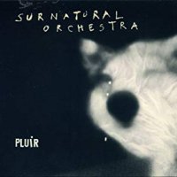Pluir