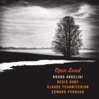 Open land