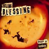 Bugs in amber