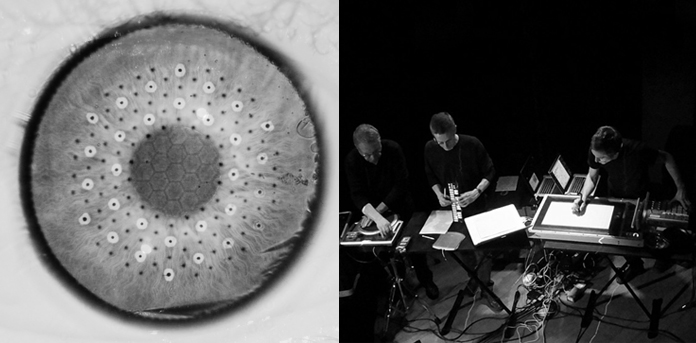 FIBROSCOPIE <+> ONE - ORCHESTRE NATIONAL ELECTROACOUSTIQUE
