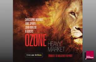 OZONE & GUESTS - HEAVY MARKET