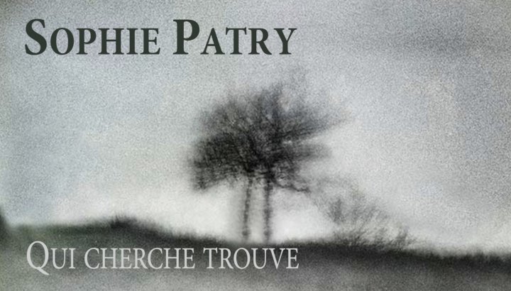 Expo au Triton - Sophie Patry