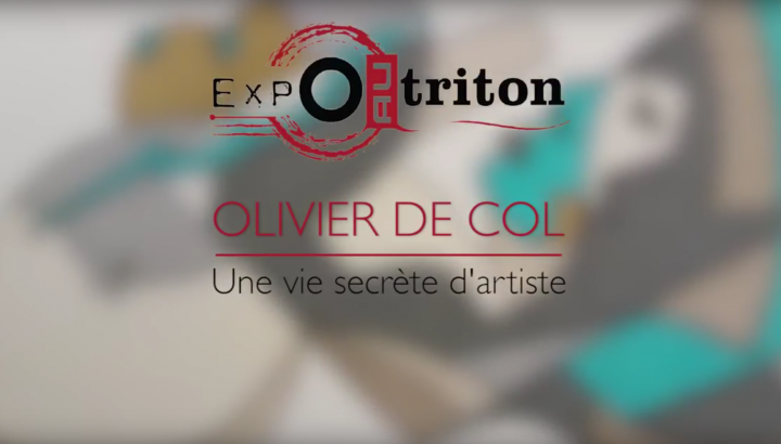 Expo au triton - Olivier De Col