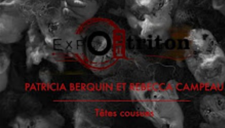 Expo au triton - P. Berquin & R. Campeau