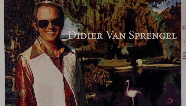 Expo au Triton - Didier Van Sprengel