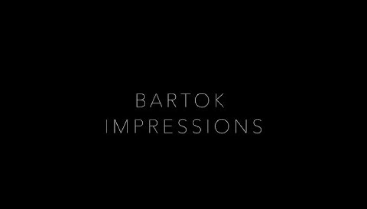 EPK - Bartok Impressions - MATHIAS LEVY / MATYAS SZANDAI / MIKLOS LUKACS