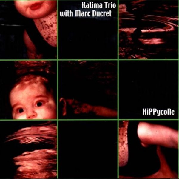 HiPPycolle