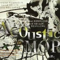 Acoustic Mop