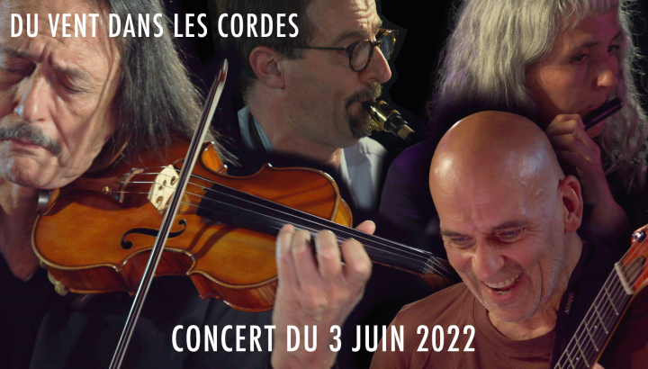 Stéphane Payen / Marc Ducret / Sylvaine Hélary / Dominique Pifarély - Du vent dans les cordes