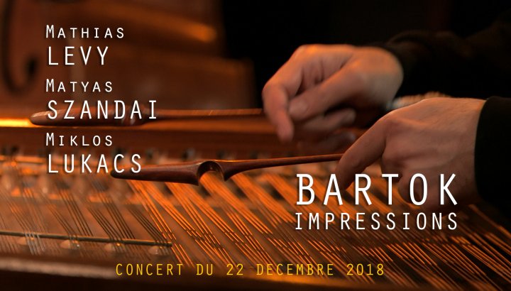 MATHIAS LEVY / MATYAS SZANDAI / MIKLOS LUKACS - BARTOK IMPRESSIONS