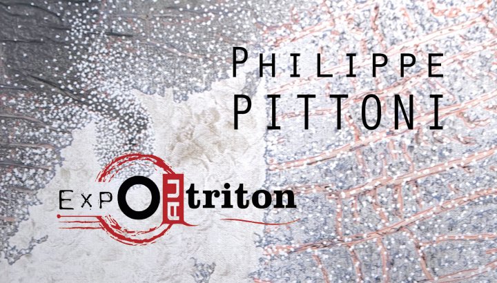 Philippe Pittoni - Cartes Mentales