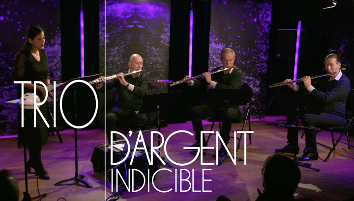 Trio d'argent - Indicible