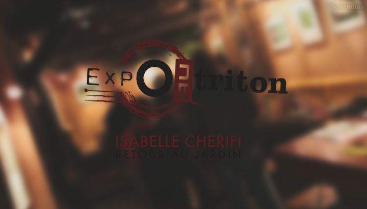 Expo au triton - Isabelle Cherifi